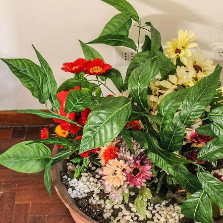 فندق Alexander House باليرمو المظهر الخارجي الصورة